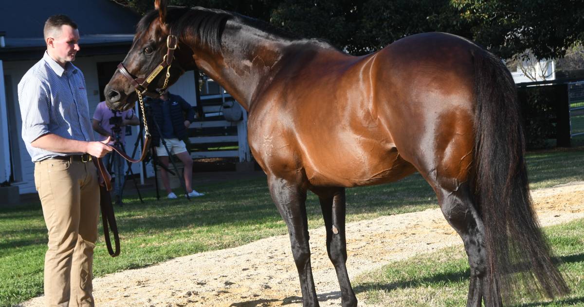 Yarraman sire's tally continues to soar