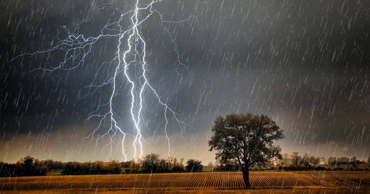 Severe thunderstorm warnings issued across parts the state