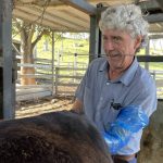 More ag teachers encouraging TAFE and uni courses can help solve worker crises | Queensland Country Life