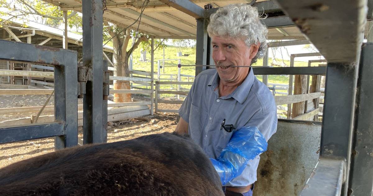 Feed to breed ahead of cycle