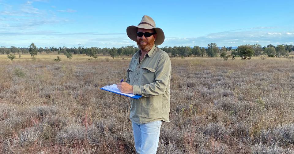 Graziers urged to be on alert for pasture dieback after rain