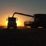 Cotton grower to head up QFF