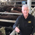 Wagga sale 20 Nov 2023: Feedlot and store orders increase