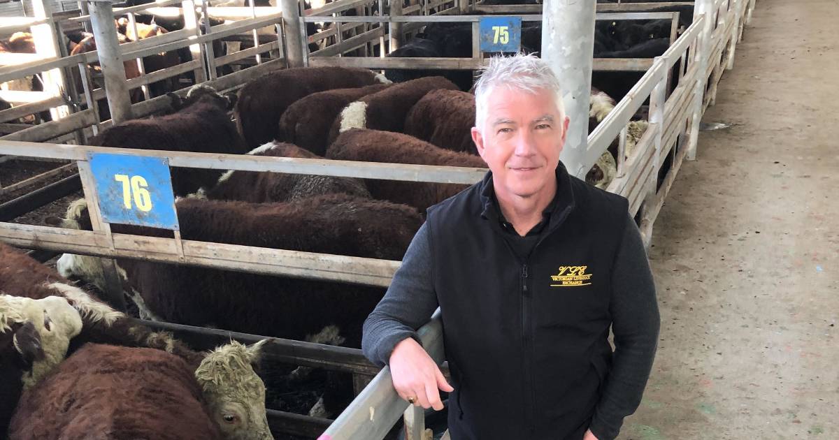 Pakenham saleyards closure confirmed – taxes, rates blamed by operators