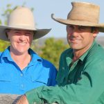 Merino show moves to Bathurst | The Land