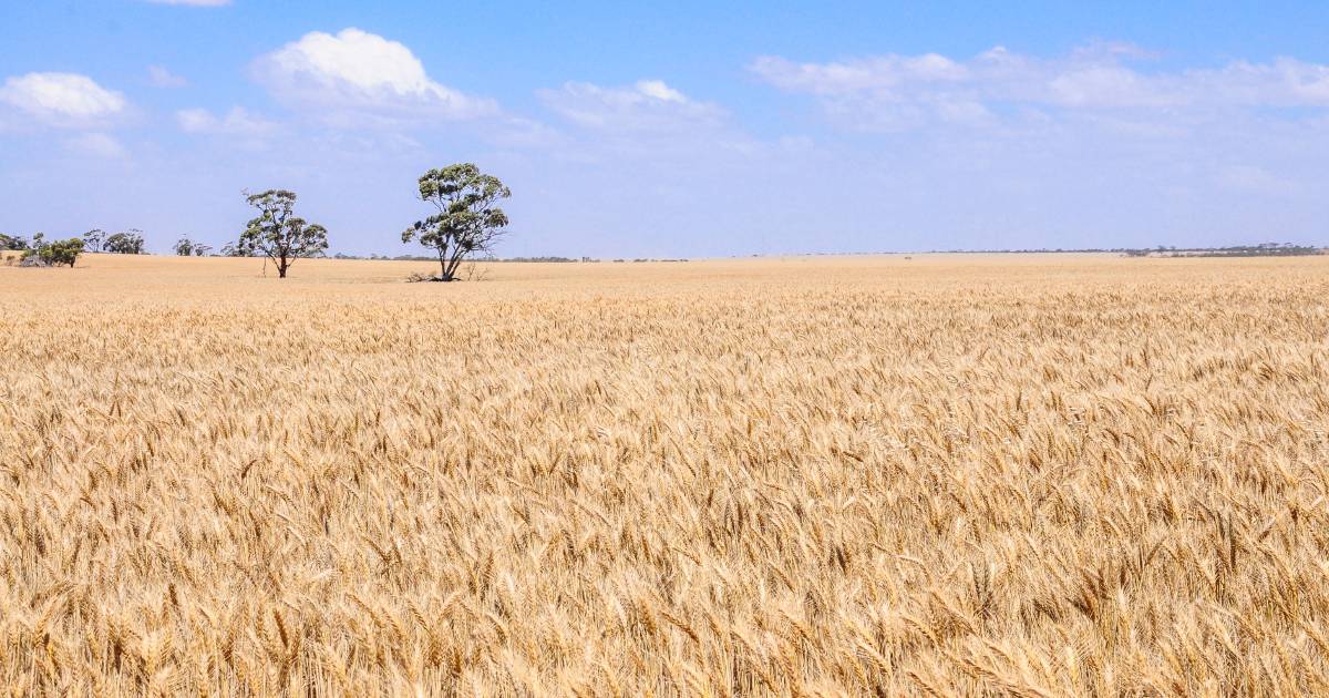 Harvest progresses at record pace