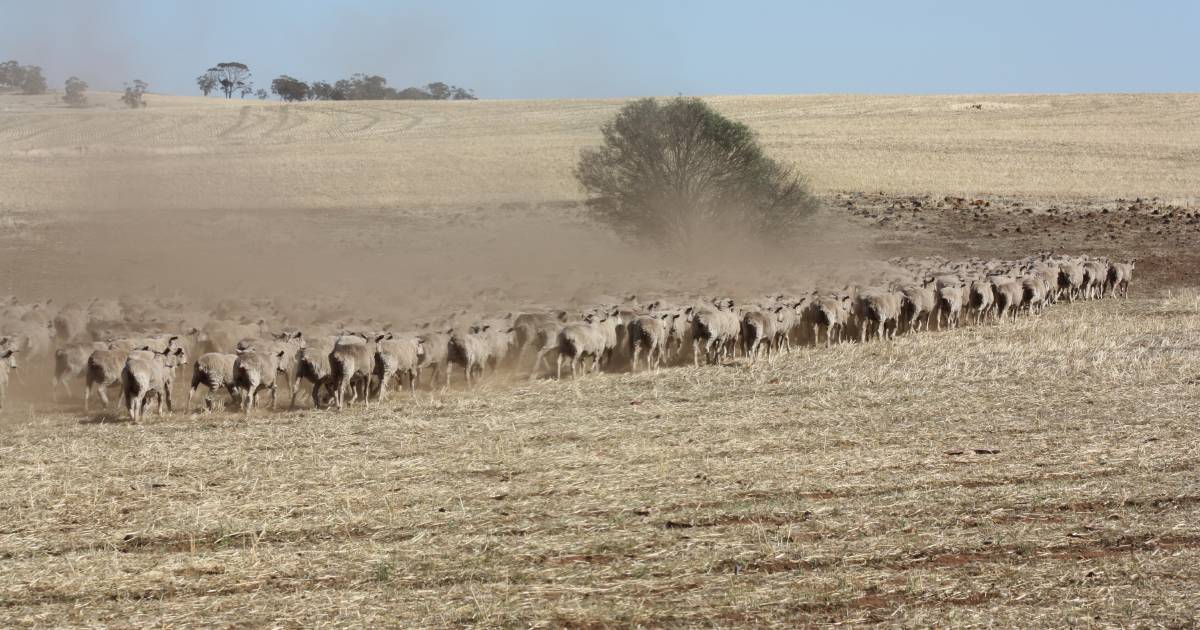 Guide to navigate a dry season