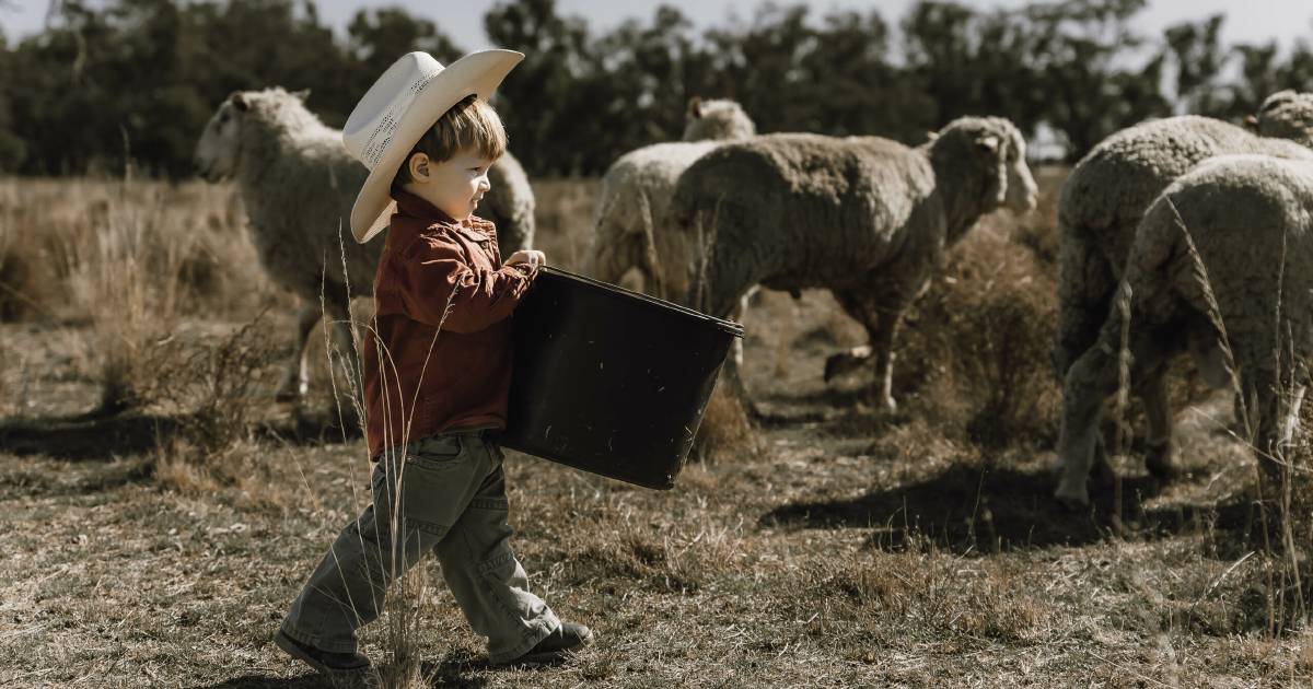 Future farmer features in winning AgDay photo competition