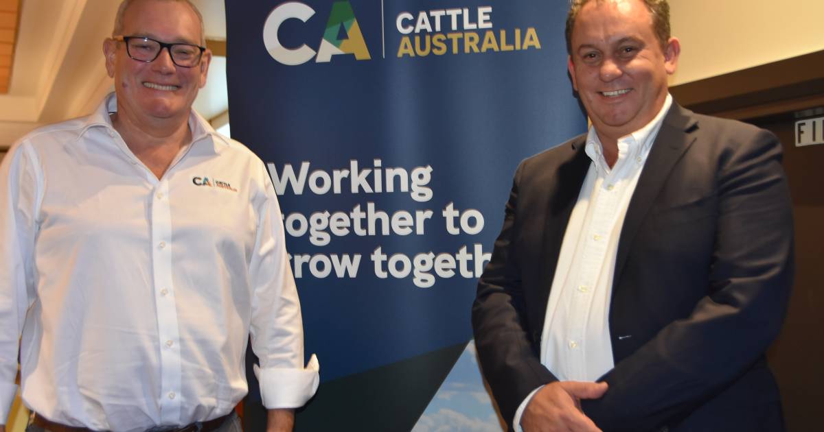 The people on Cattle Australia's new policy-setting body