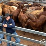 AIMCo, New Agriculture buy Kimberley Cattle Portfolio