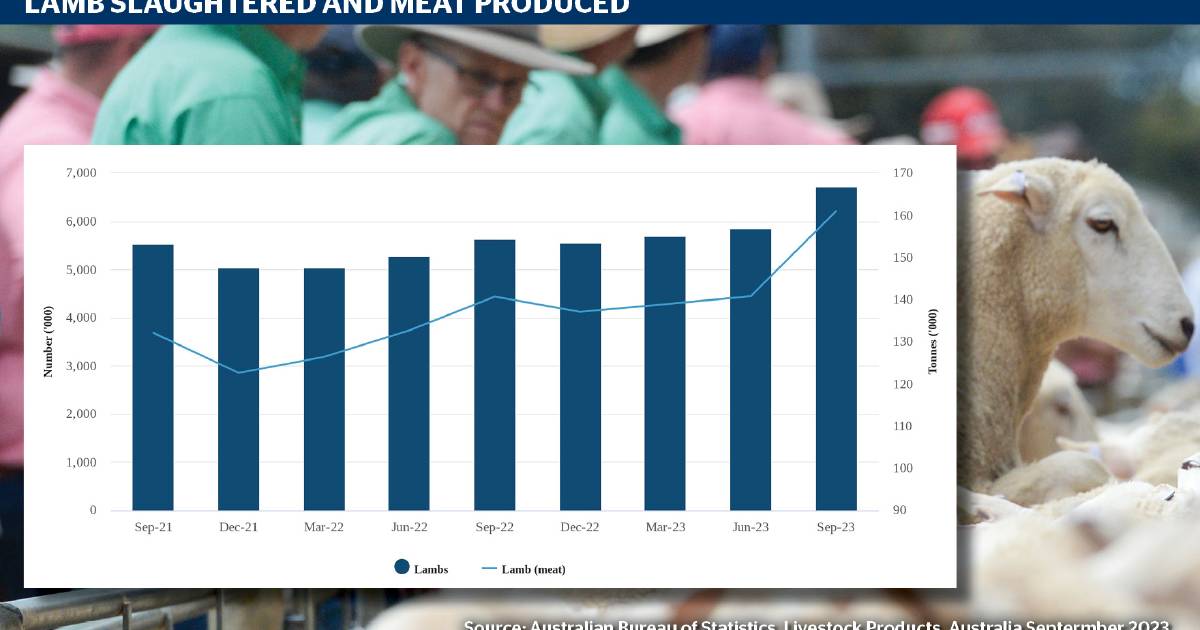 Sheep producers turning off more lamb