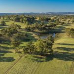 Mango growers to get ‘better price’ for well-timed harvest | Queensland Country Life