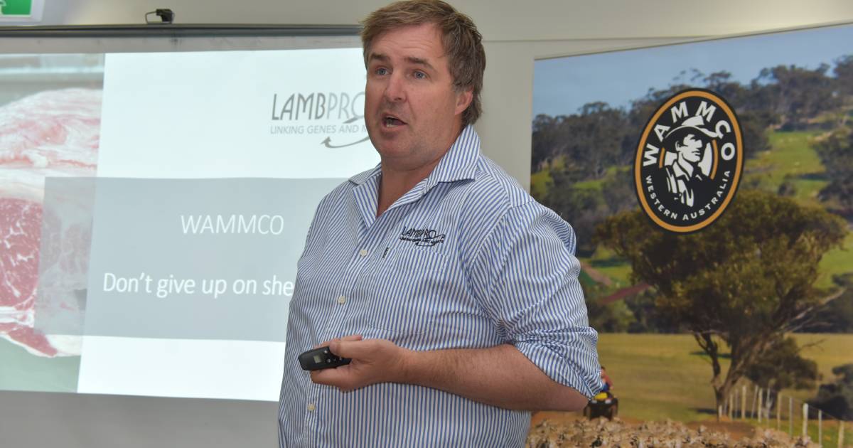 Marbling focus an option for WA breeders