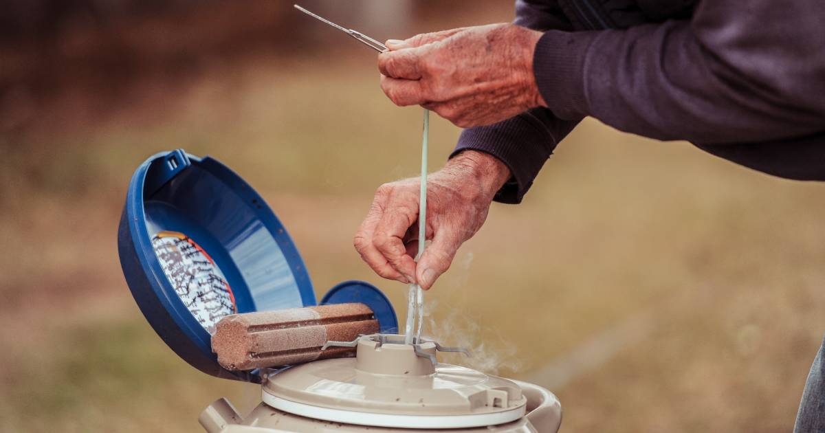 Technicians say drier season impacting uptake in AI breeding programs