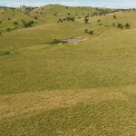 Rain livens Tamworth store sale by $150 to $200 a head | The Land