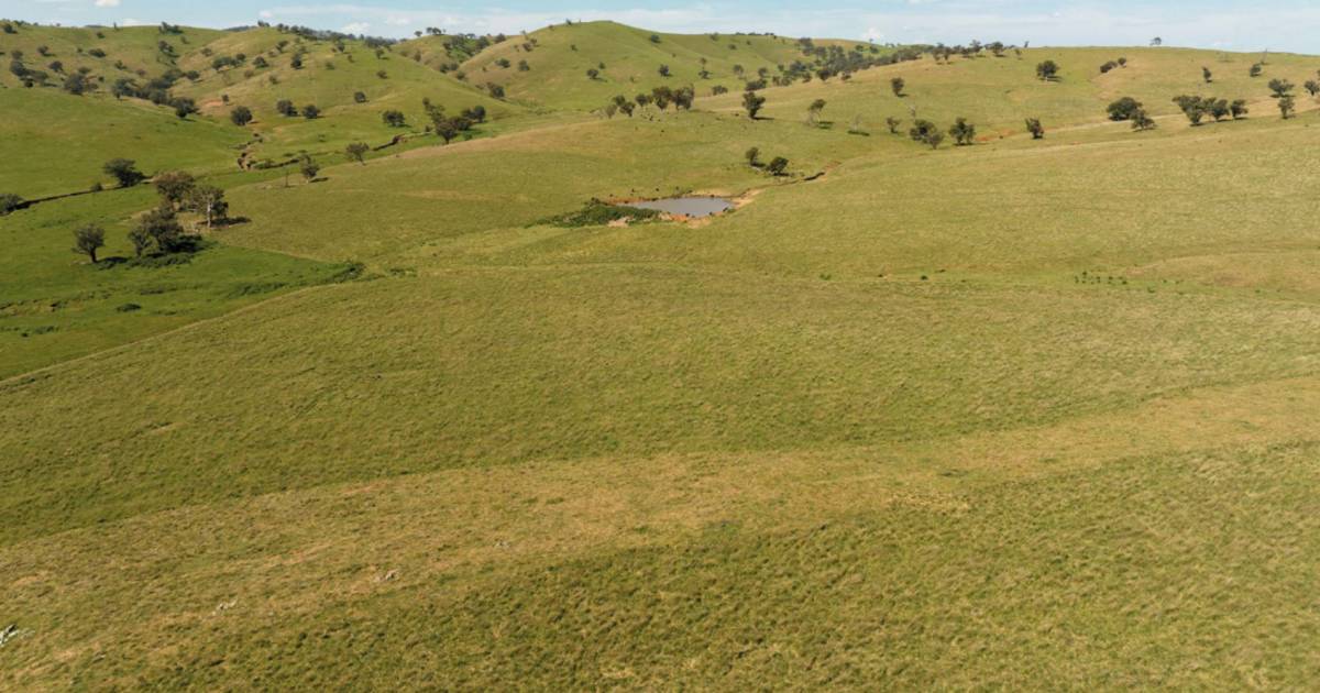 The Brothers ideal for cattle, prime lambs and wool production | Video