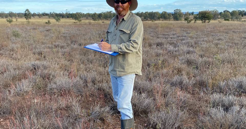 Pasture dieback a concern