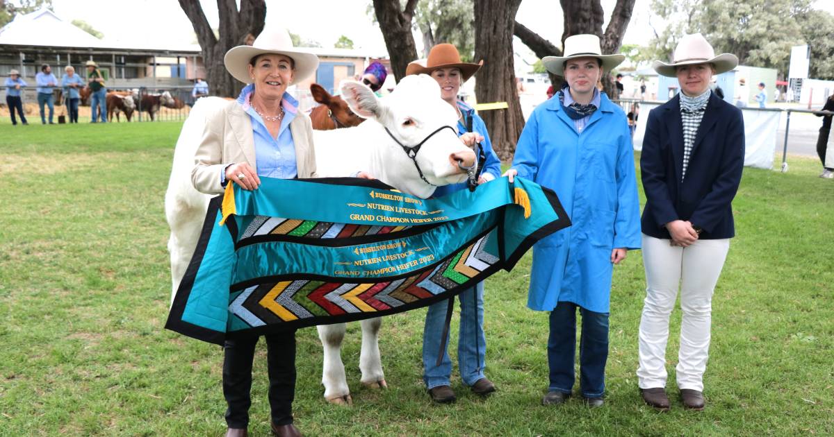 Elgin Park Lorenza is grand champ heifer at Busselton Show | Farm Weekly