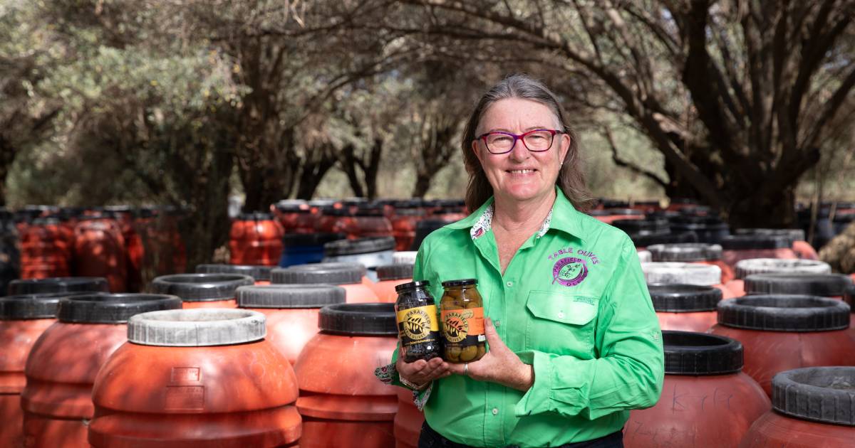 Riverina olive producer claims top award for super rare variety