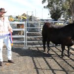 Offers above $749,000 sought for Oakey horse racing facilty