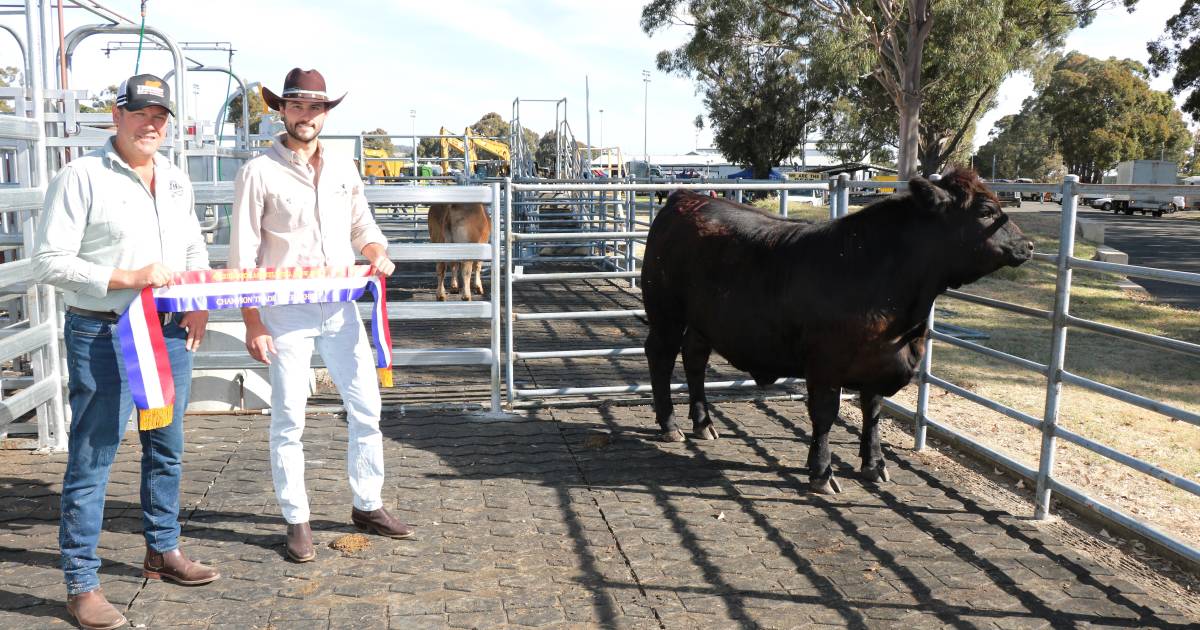 Trade competition at Brunswick attracts 103 entries