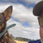 Milk to flow again at North Queensland dairy, as two farming families restore farm