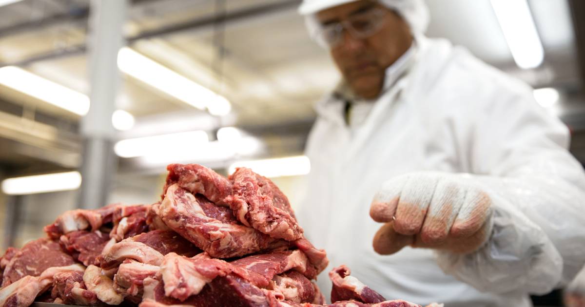 Abattoir vets, meat inspectors caught up in CPSU strikes | The Land