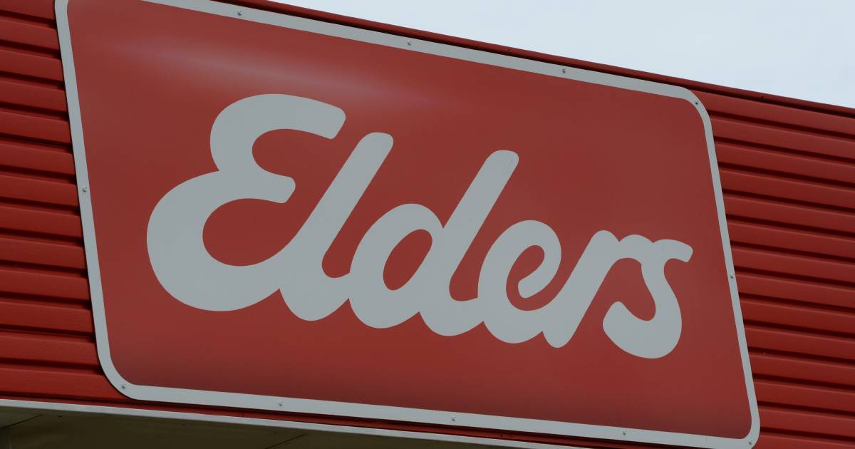 Elders shares down 60 per cent from 2023 peak | The Land