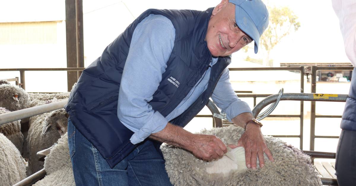 Biological wool harvesting is ramping up