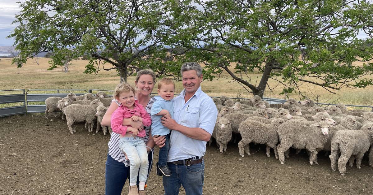 2023 Bookham Merino ewe competition | Photos | The Land