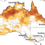 Selling continues even as cattle markets retreat