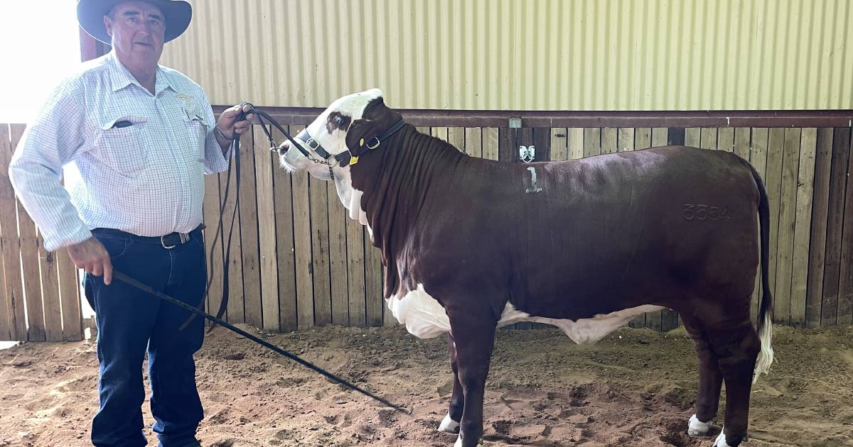 Brafords to $9000 in Golden Jubilee sale