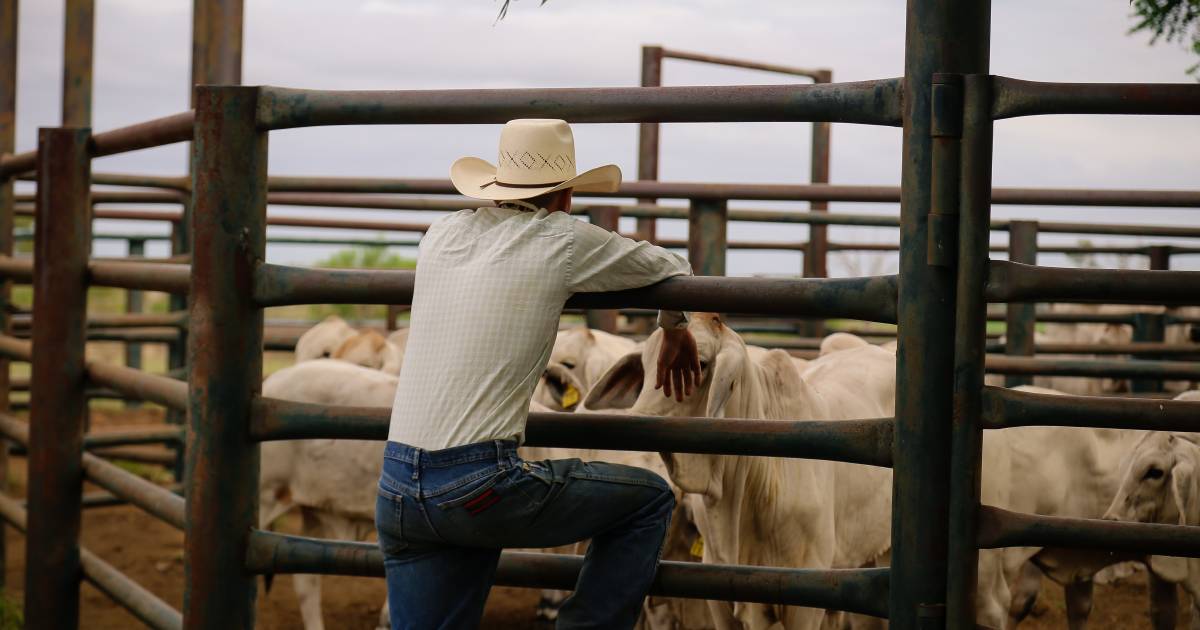 Farmers' survey on emissions to be given to the federal government