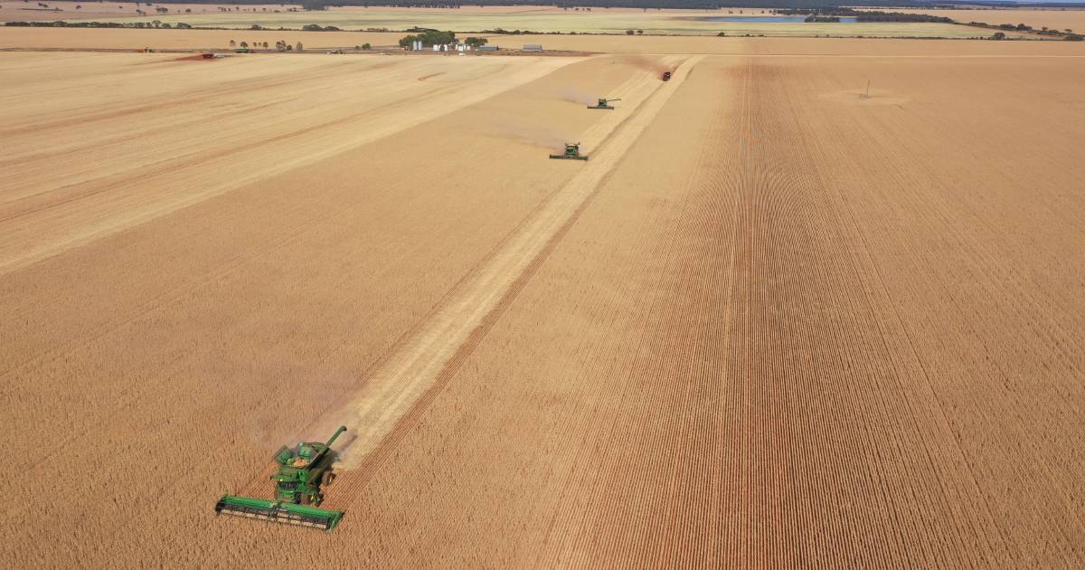 Canadians team up to swoop on massive Riverina cropping operation