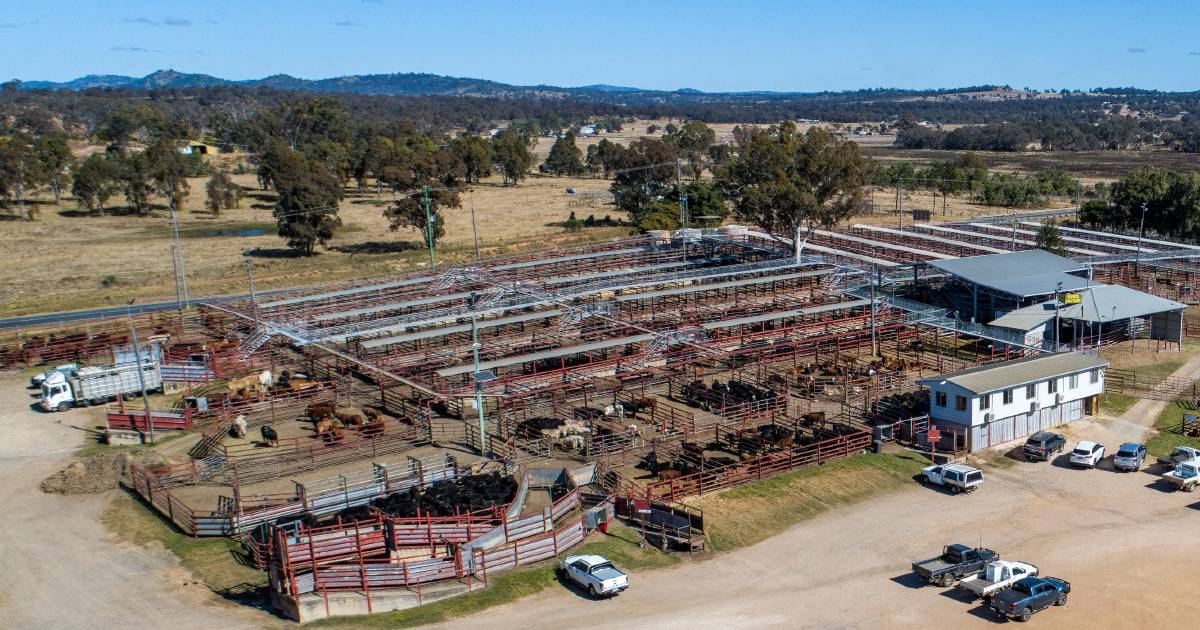 Work to start on Warwick saleyards upgrade