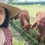 Cows with calves top Wodonga sale