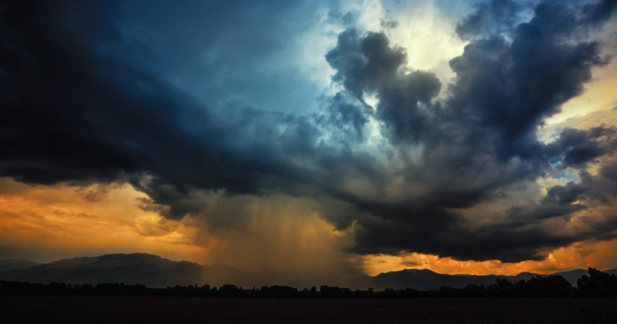 Rain welcome in the north ahead of sorghum planting