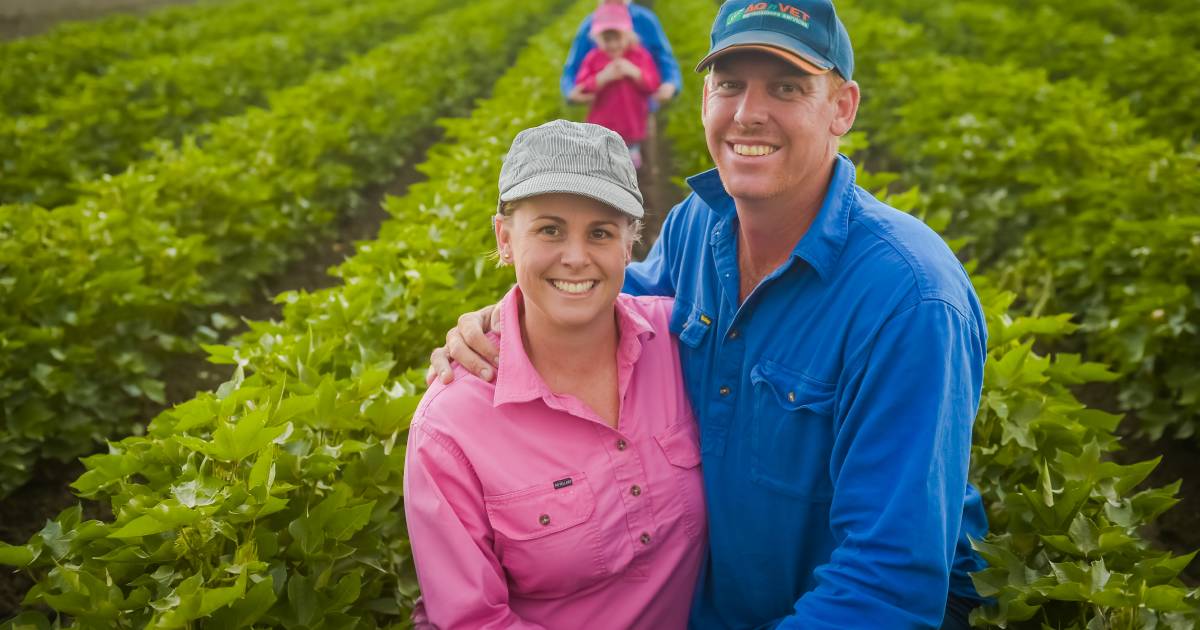 Cotton grower to head up QFF