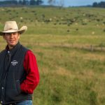 How to be profitable in the cattle market