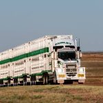 WA sheep producers say Australian Government is out of touch | Farm Weekly