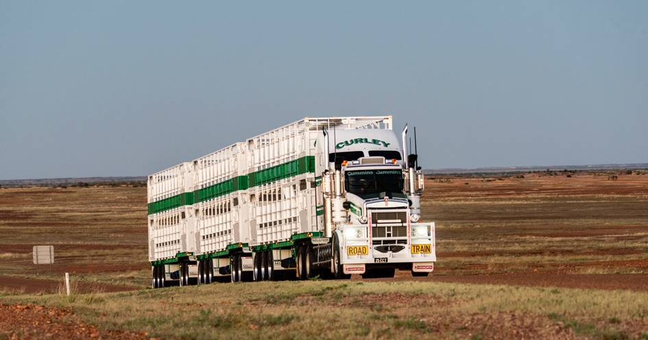 Curley Cattle Transport acquires Brennan Cattle Transport expanding into Mount Isa | The North West Star