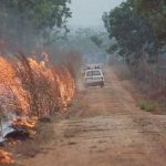 Cheap RIC farm loans to be reviewed by former NFF boss Wendy Craik | Queensland Country Life