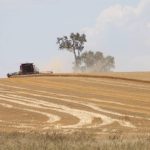 Rain band could be best in a year for inland Queensland