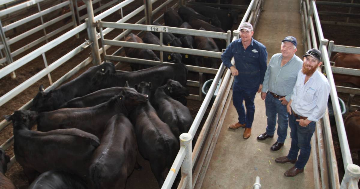 Muchea Livestock Centre beef steers make $1019 | Farm Weekly