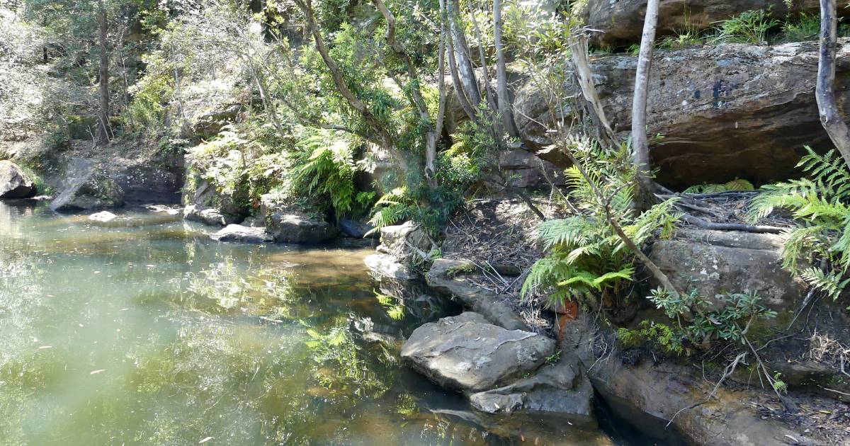 Basking in Blue Pool and braking for snakes