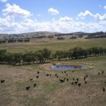 Outback tourism makes its mark at Queensland awards