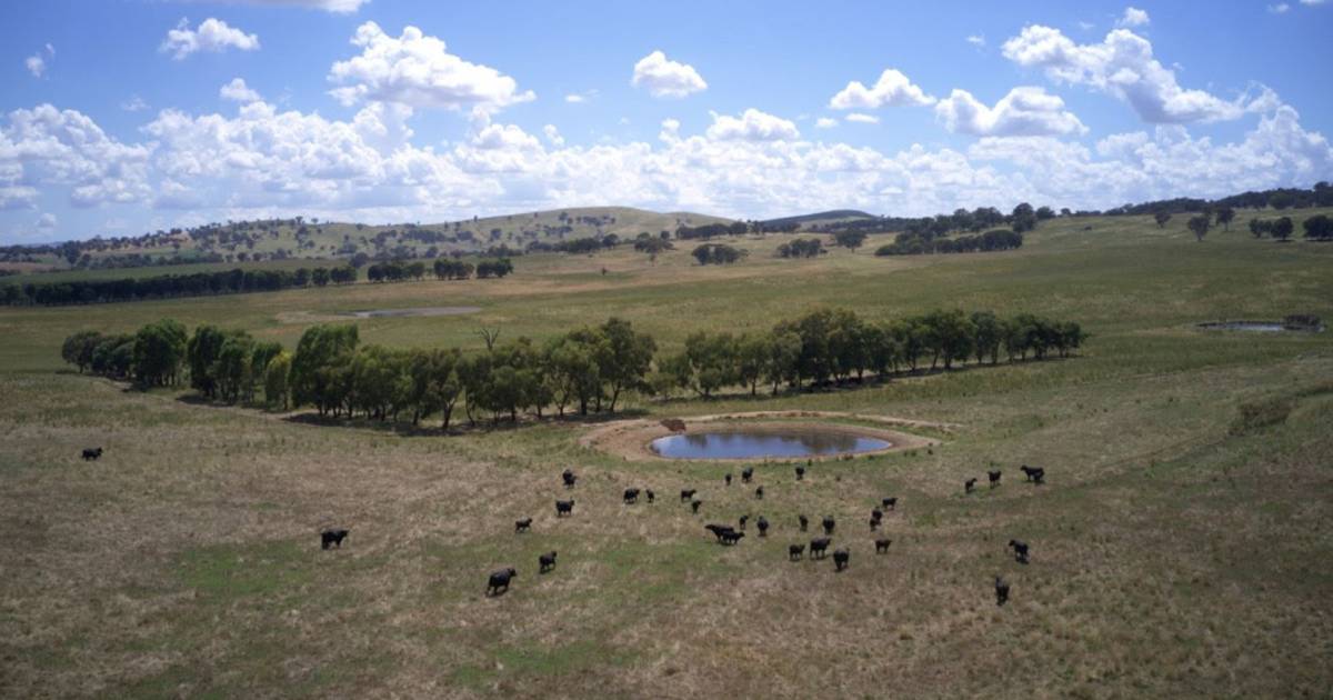 Premium, picturesque tablelands country for cattle and sheep