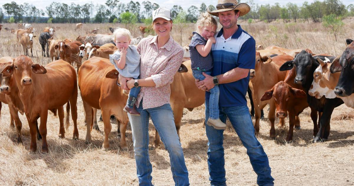 Cattle traders seeing big success growing synthetic-free multi-species hay