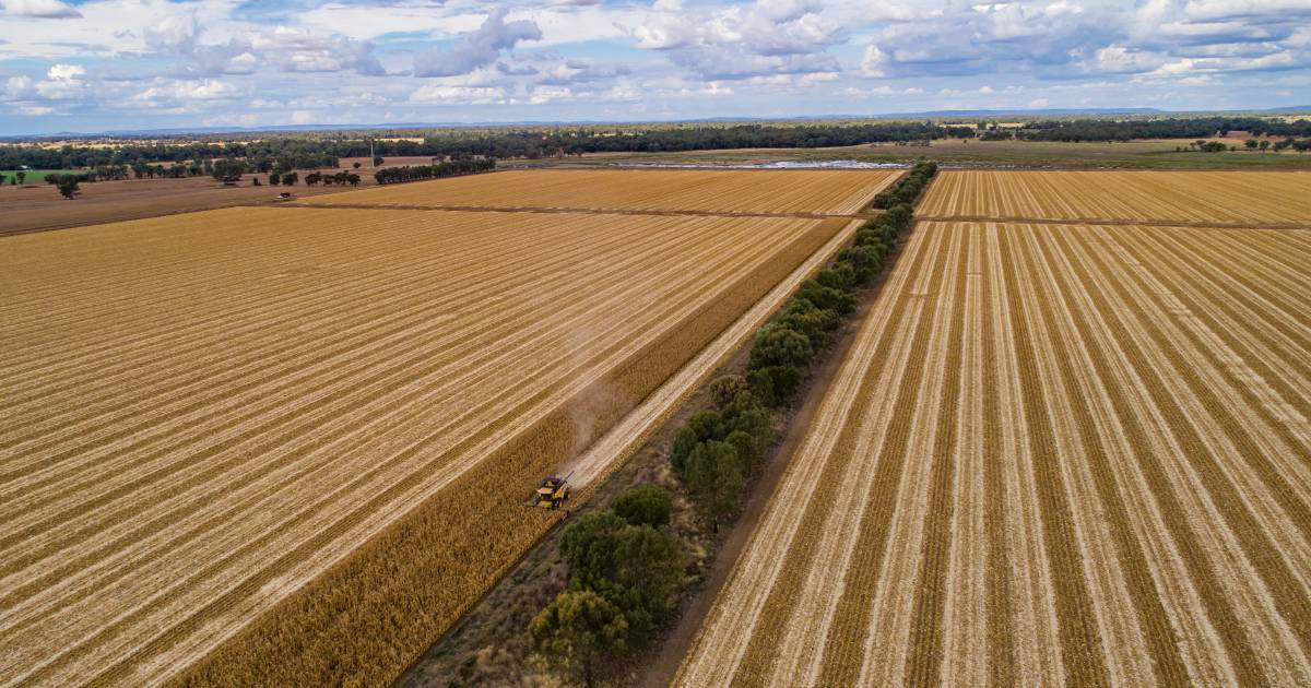 Very versatile Lachlan River farmland with water on the market