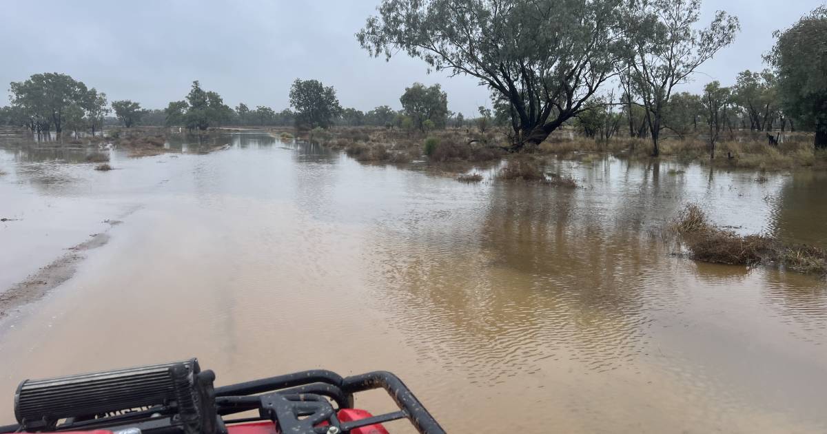 'Moderate strength' El Nino tipped to weaken in autumn